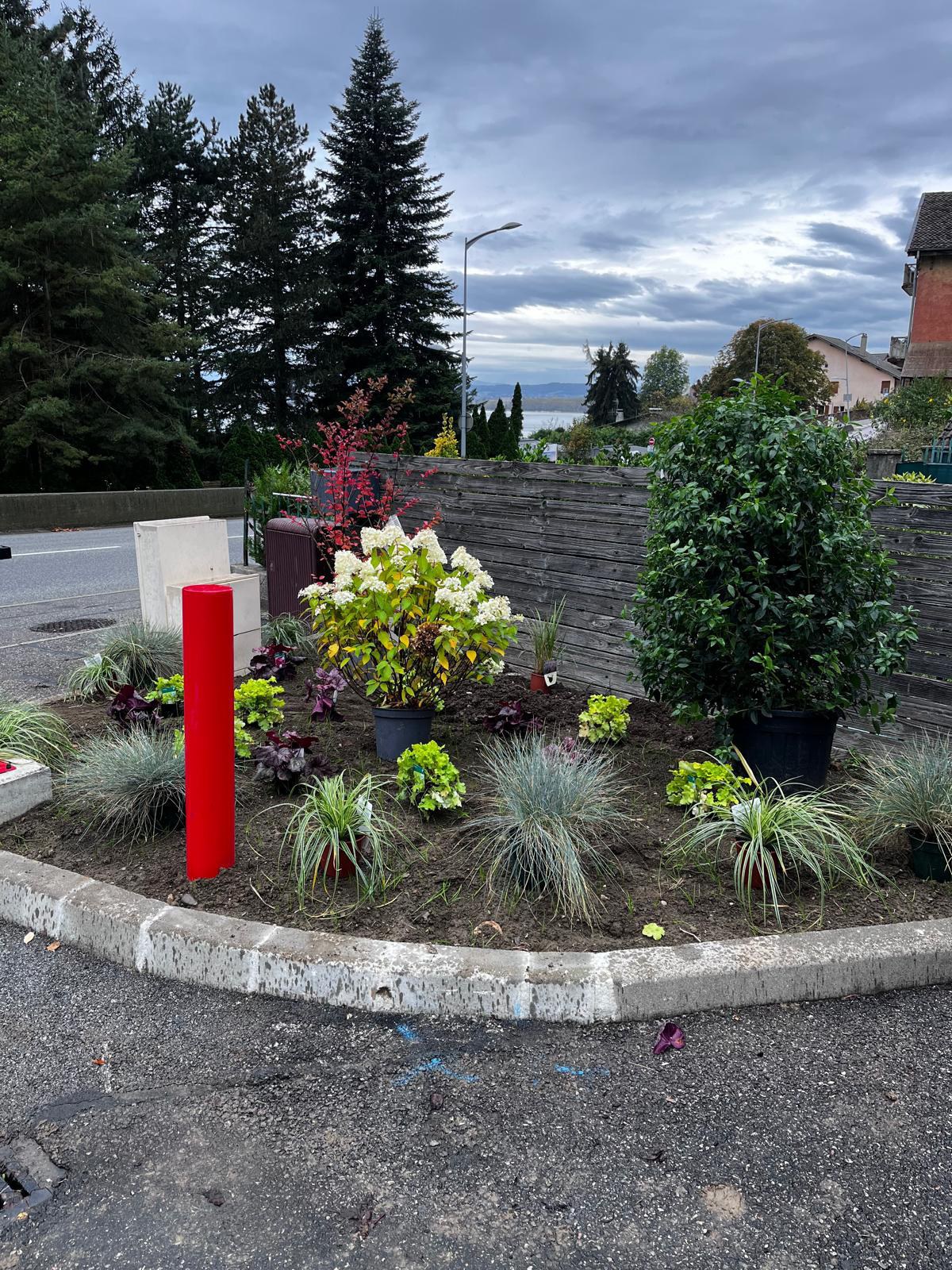 Création d'un massif rond — Veyrier-du-Lac